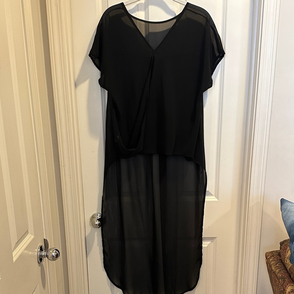 Elegant Black Sheer Dress